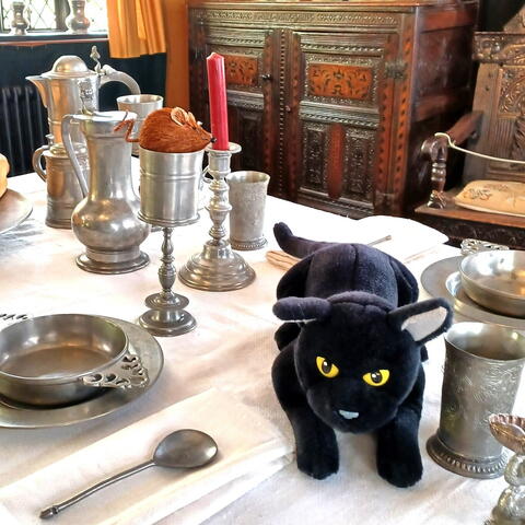 black cat toy on dining table
