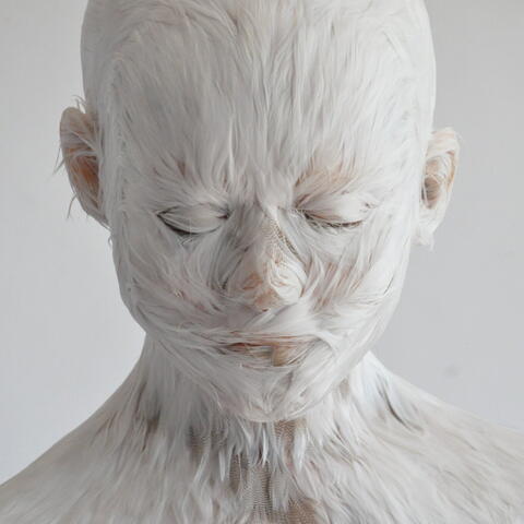 Head and shoulder of sculpture covered in feather-like texture