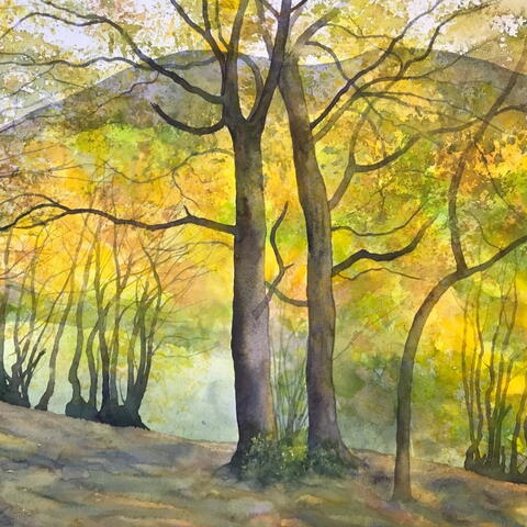 Watercolour painting of woodland