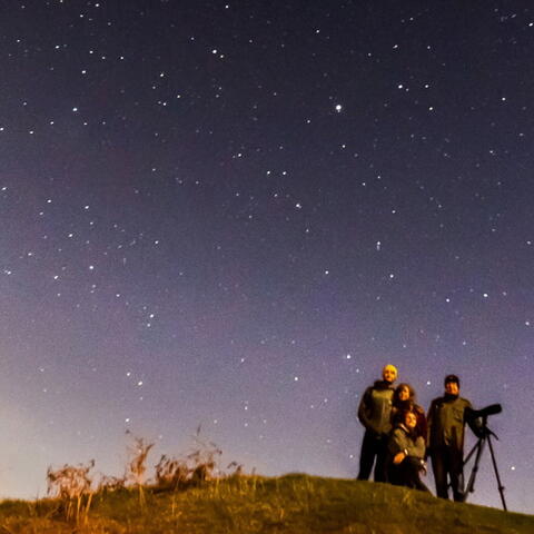 photograph of people with telescopes against stary sky