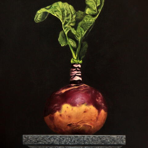 painting of a swede with green tops