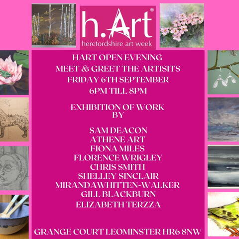 poster for Herefordshire Art Week opening evening with strong pink background