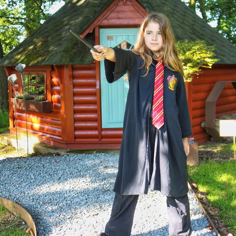 Child dressed as Harry Potter with wand
