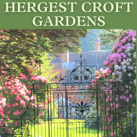 Hergest Croft Gardens