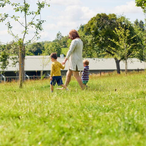 family strolling through an orchard at Newton Court Cider