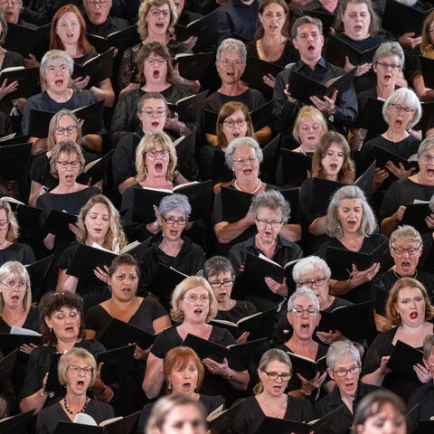 Large Choir in black robes