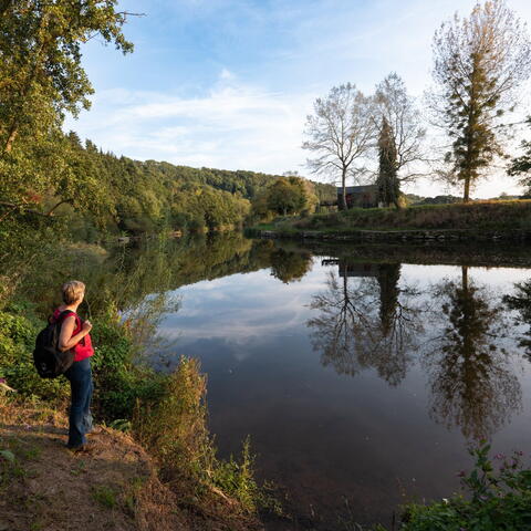 Wye Valley Walk Anniversary Walk 9:  Fownhope to Ross-on-Wye