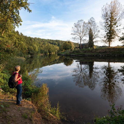Wye Valley Walk Anniversary Walk 9: Fownhope to Ross-on-Wye