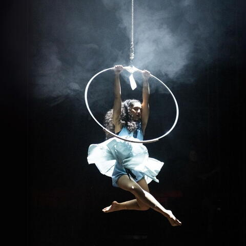 SABOTAGE by NoFit State Circus in Hereford | 23 May - 8 June