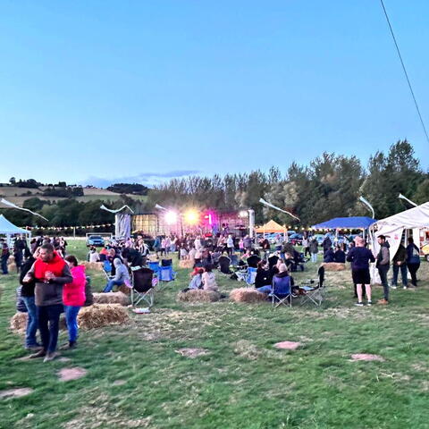 Dorstonbury 25