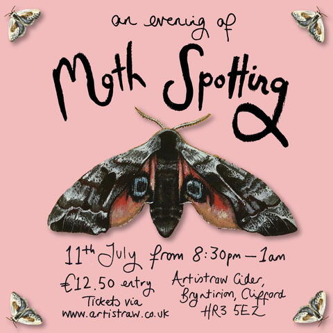 Moth Spotting in the orchard