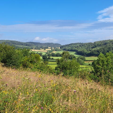 Wye Valley Walk Anniversary Walk 8: Hereford to Fownhope