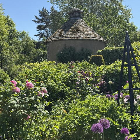 Netherwod Manor Open Garden