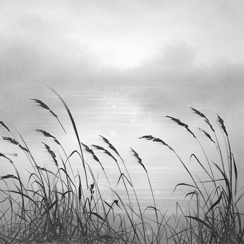 Transience and Tranquillity
