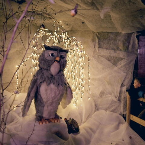 Christmas Evening Winter Wonderland