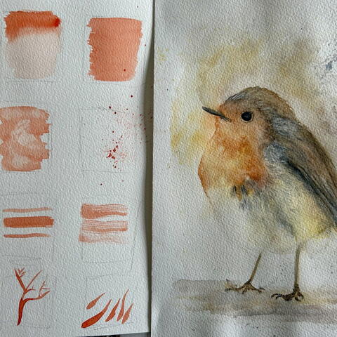 Beginner’s Watercolour Workshop – Sept