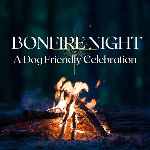 Bonfire Night At Lyde Court