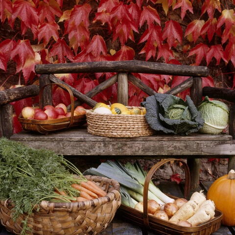 September harvest feast