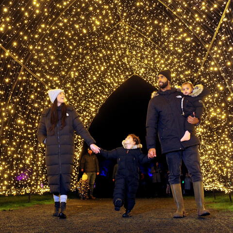 Winter Glow - a family enjoying a walk under a blanket of fairy lights