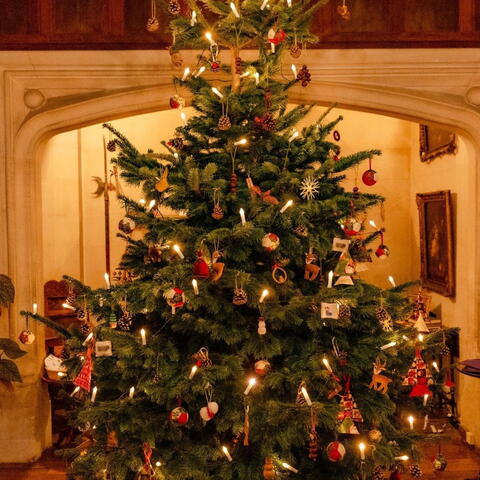 A Victorian Christmas Adventure