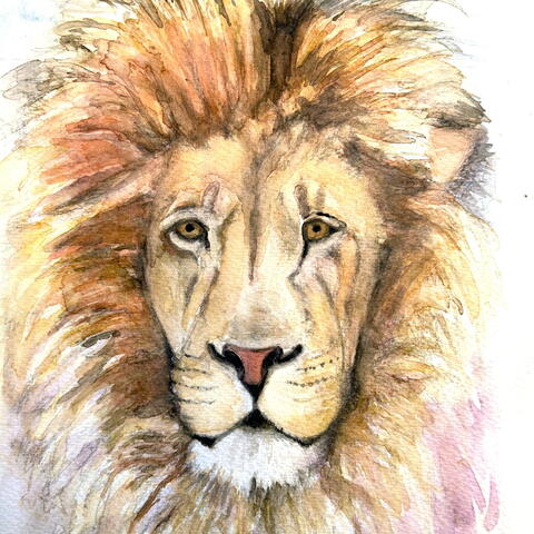 Animal Painting Course