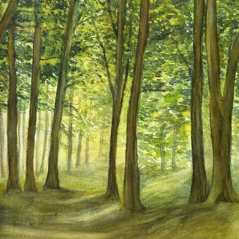 Watercolour Landscapes Course