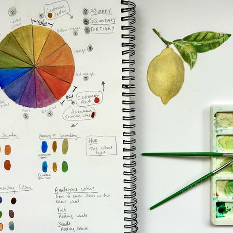 Understanding Colour Workshop