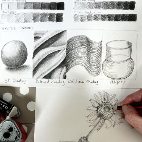 Beginner’s Drawing Workshop