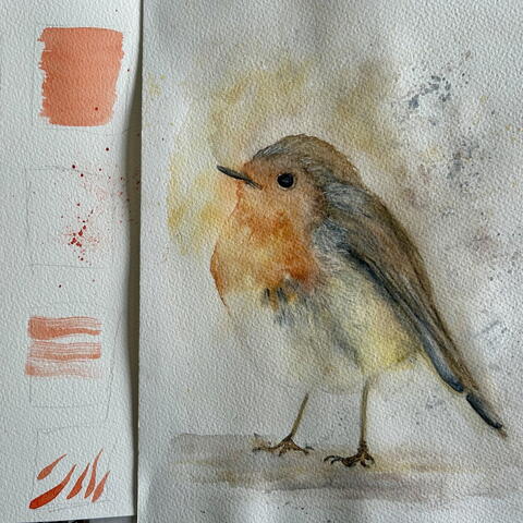 Beginner’s Watercolour Workshop