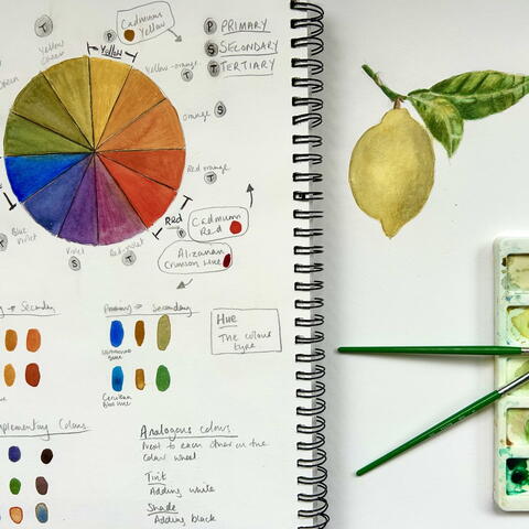 Understanding Colour Workshop