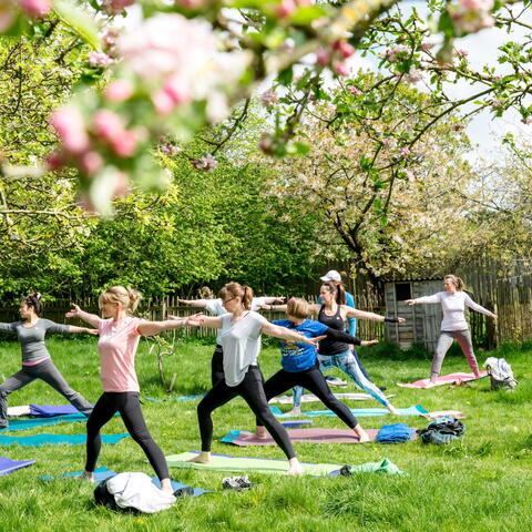 Yoga in Nature: Mindful Moment