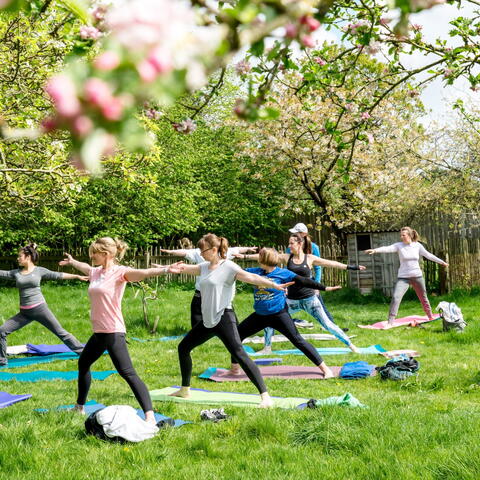 Yoga in Nature: Mindful Moment