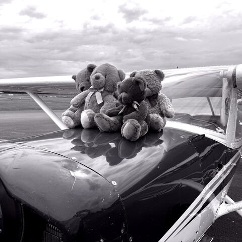 Teddy Bear’s picnic