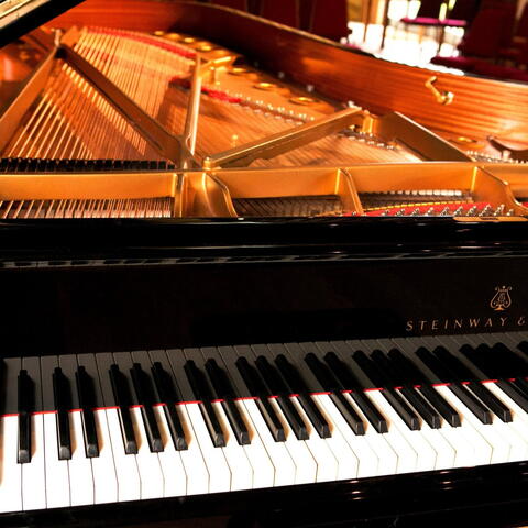 Concert - Pascal Rogé
