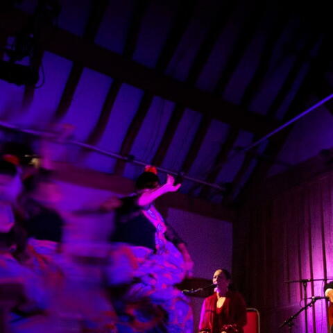 Concert - An Dannsa Dub