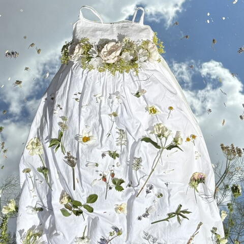 Jane Tudge: Becoming Exhibition