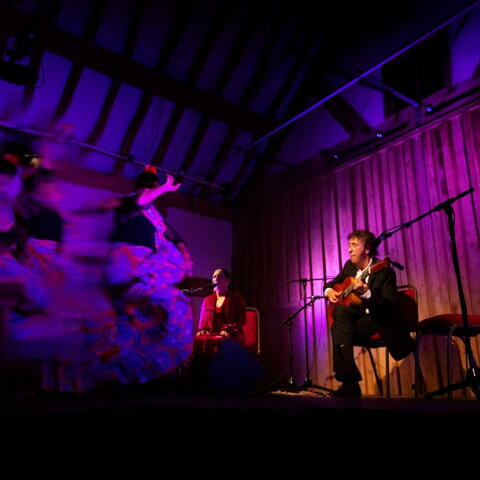 Juan Martin Concert