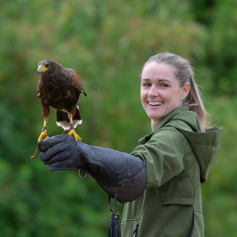 A person holding a bird of prey