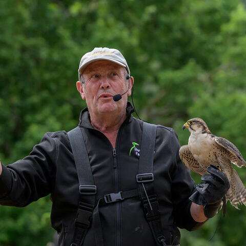 A person giving a talk with a small bird of prey on their arm