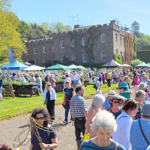 Spring Plant Fair