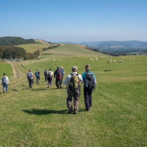 Kington Spring Walking Festival