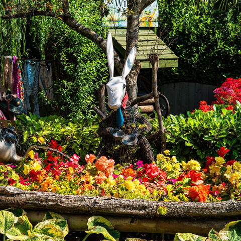 National Garden Scheme Open Day