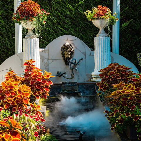 National Garden Scheme Open Day