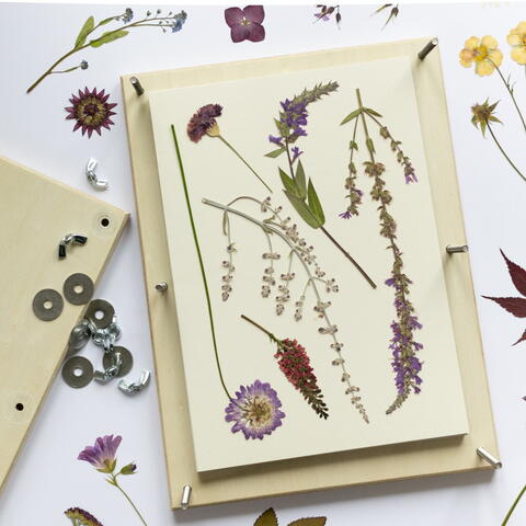 FLOWER PRESSING MASTERCLASSES WITH MEADOW AND THYME