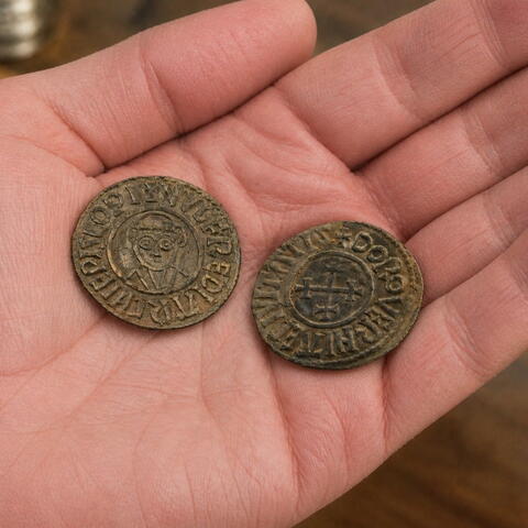 Vikings at the Priory: Exhibition Guided Tours