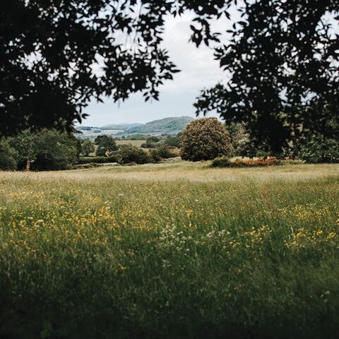 Golden Valley Sundial on the Meadow at Hellens