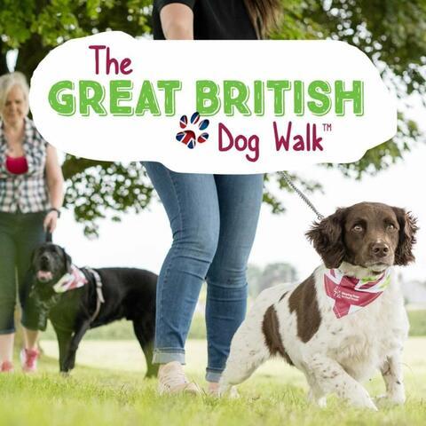 The Great British Dog Walk - Eastnor Castle