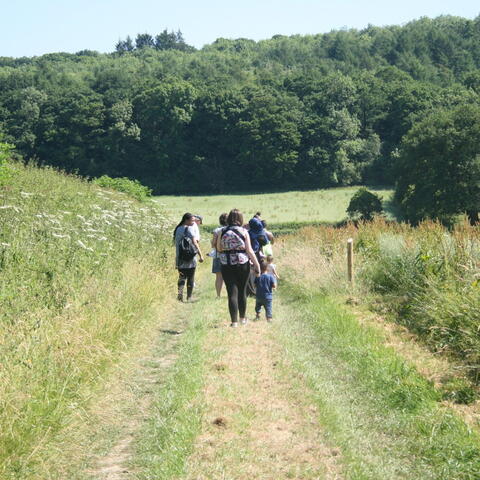 Family Walk - Rodd Estate