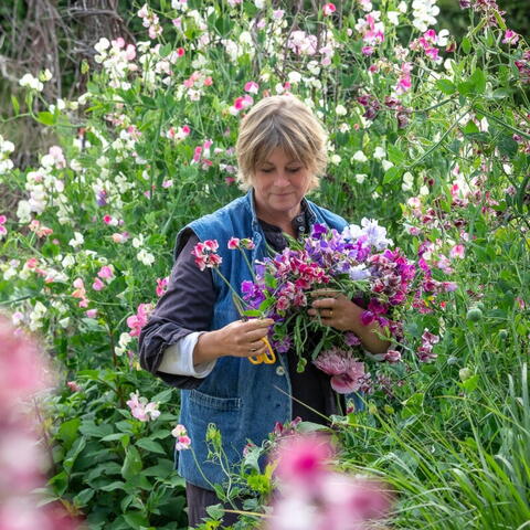 Sarah Raven Workshops