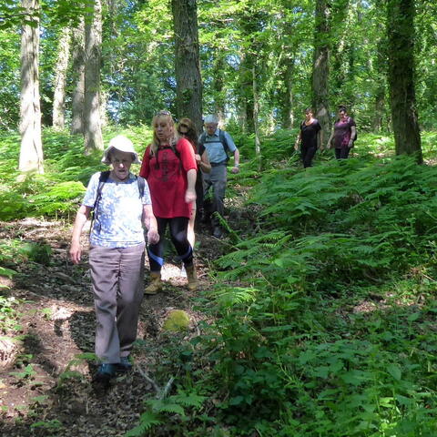 5 people enjoying walking